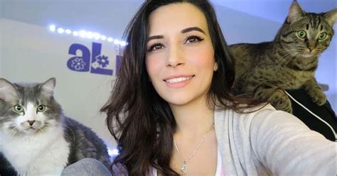 alinity cat|Twitch Streamer Alinity Accused of Animal Abuse After Throwing Cat。